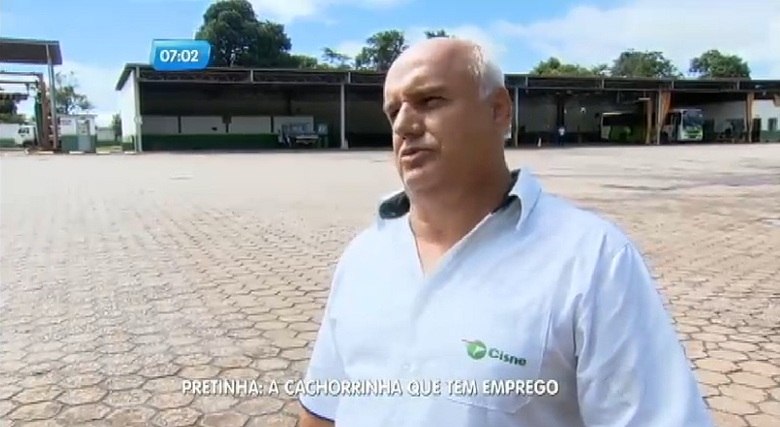 Albino Pinheiro, funcionrio da empresa, garante que a vira-lata estranha qualquer veculo que no seja nibus que tente entrar no local. A Pretinha chegou aqui h dois anos e ela acostumou aqui na garagem. Todo carro que no seja nibus que adentra aqui a garagem ela avana