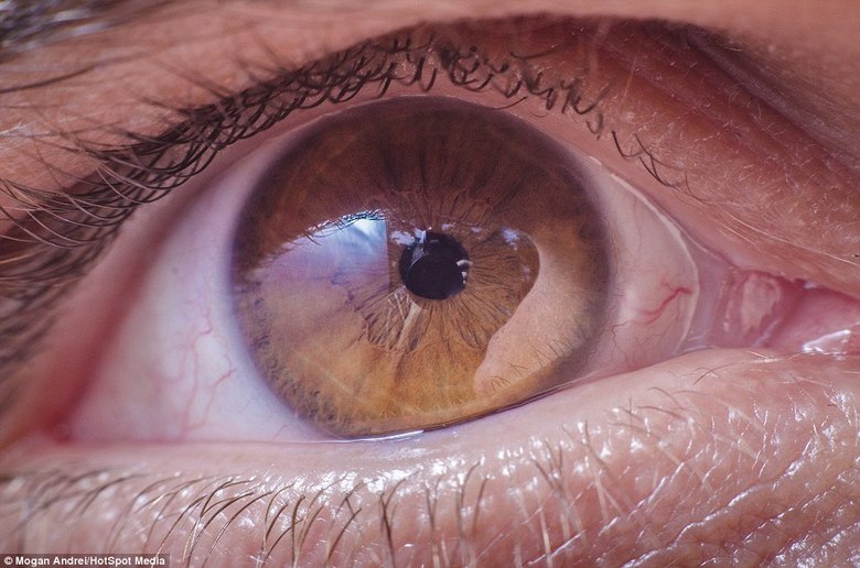 O fotógrafo diz gastar cerca de 10 minutos fotografando cada um dos olhos