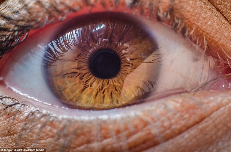 Depois de publicar algumas de suas fotografias na internet, Andrei, que também trabalha como designer gráfico, recebeu pedidos de admiradores de seu trabalho para viajar para as cidades de Sibiu e Timisoara para continuar o projeto