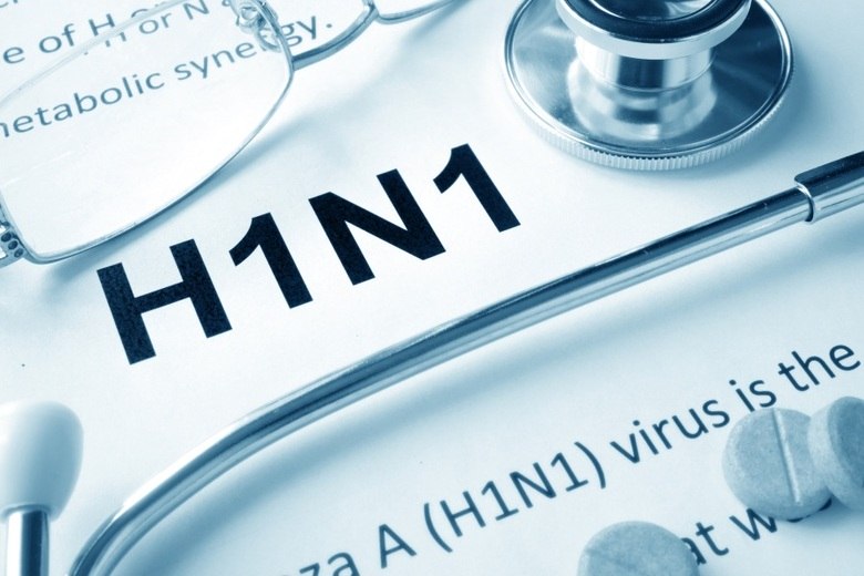 O que é o H1N1? 
Segundo
a especialista, o H1N1 é uma variação da gripe comum. O vírus da gripe é muito
suscetível a sofrer mutações. E o ser humano adquire essas “variações” da
gripe. No caso do H1N1, estima-se que ele tenha surgido em 2009 e sua
transmissão aconteceu primeiro em suínos, por isso, a doença ficou conhecida como
“gripe suína”