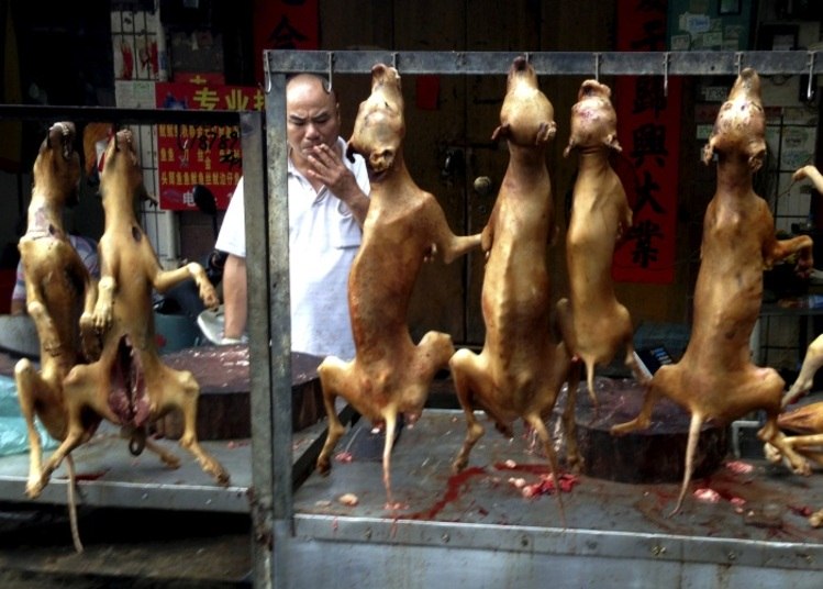 A cidade de Yulin, no sul da China, deu início a seu festival anual de carne de cachorro nesta terça-feira (21) apesar da oposição de ativistas de direitos dos animais, e moradores se queixaram de novas medidas do governo para manter o evento discreto