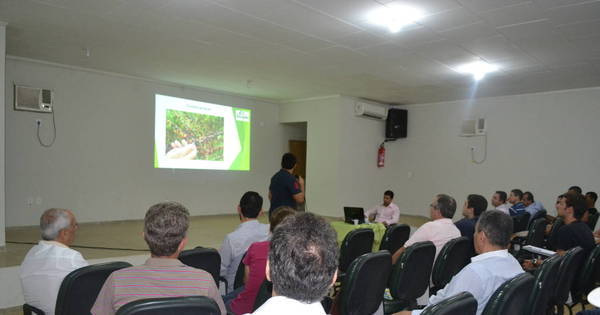 Produtores participam de Workshop sobre diversificação agrícola ... - R7