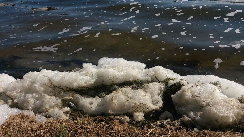 A secretaria ainda afirma que a espuma não representa ameaça ao equilíbrio da vida aquática