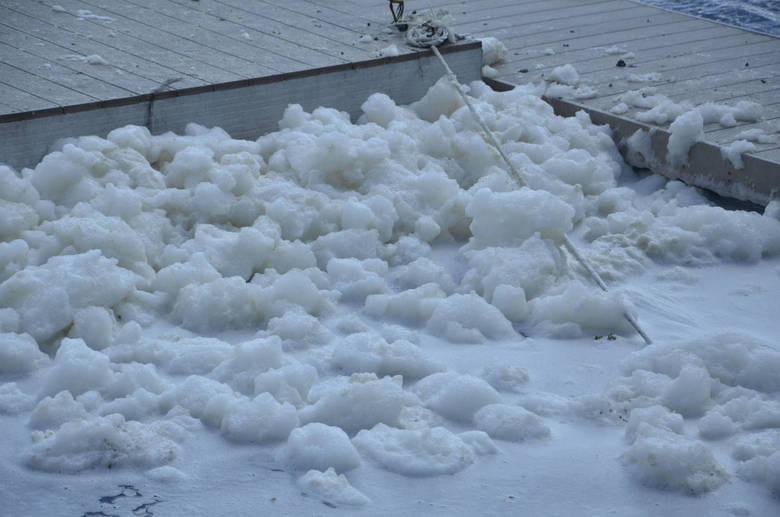 Ainda de acordo com a secretaria, o oxigênio dissolvido na Lagoa, que preserva a vida aquática, está em boa concentração gerando o equilíbrio do meio ambiente