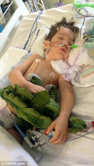 Quase um ano depois do acidente, Dylan ainda está no hospital, onde recebe terapia intensiva, enquanto sua mãe vive em alojamentos familiares nas proximidades