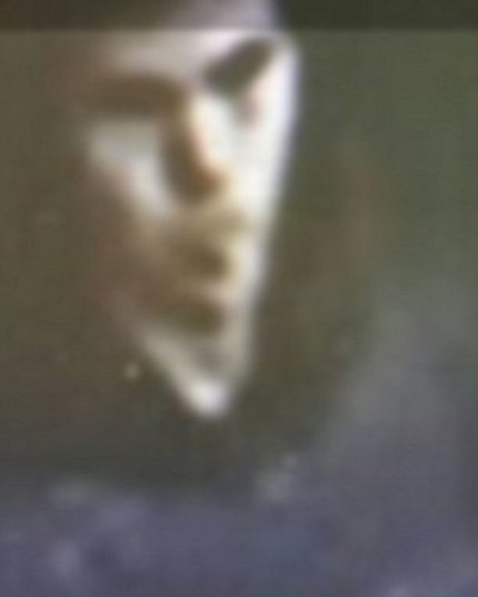 Na tarde desta segunda (2), as cidades de Yalova e Bursa, na Turquia, se tornaram alvo de investigação, já que o assassino teria sido visto nestes locais, após atravessar de balsa o Mar de Mármara, em um trajeto de cerca de 40 kmConselho de Segurança da ONU apoia resolução para nova trégua na Síria