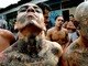 Na gangue Mara Salvatrucha (MS-13), “controlar” e “matar” são duas
palavras bastante utilizadas por elas. Acredita-se que a MS-13 tenha entre
1.500 e 3.000 membros, muitos com idades de 16 a 18 anos.Entre as práticas mais realizadas pela gangue estão o assassinato de
grupos rivais, tortura de policiais informantes, extorsão de grandes
empresários e tráfico de drogas