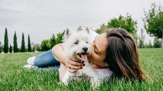 Veja o que levar em consideração na hora de adotar o seu pet (ADOTAR PET: 7 coisas para levar em consideração na hora de adotar o seu bichano)