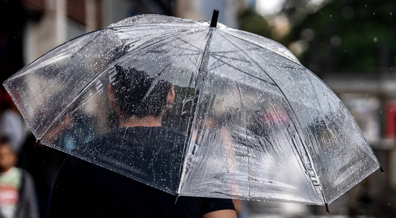 Defesa Civil de SP envia alertas sempre que há tempestades veja como