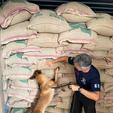 Receita Federal encontra cocaína escondida em carga de café (Divulgação/ Receita Federal)