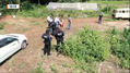 Polícia resgata 14 trabalhadores em situação análoga à escravidão (Reprodução)