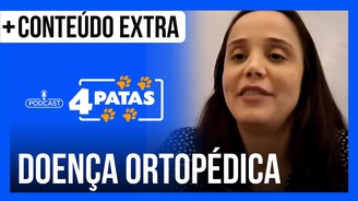 Veterinária fala sobre problemas ortopédicos dos animais (Reprodução)