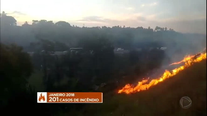 Cresce em 45% o número de incêndios em matagais em Salvador (BA)
