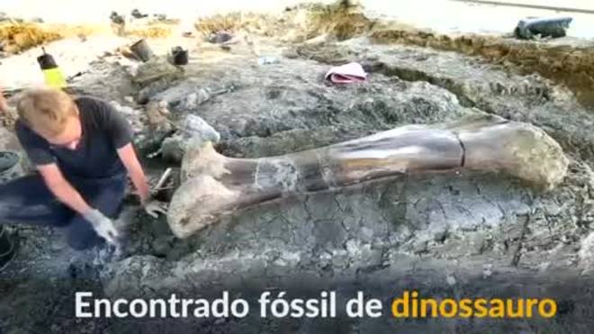 Osso de dinossauro gigante é encontrado na França