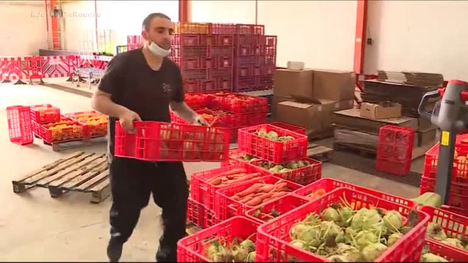 Conflito no leste europeu deixa trabalhadores agrícolas de Israel em crise financeira