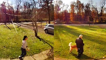 Pai é filmado ao visitar secretamente casa de filha só para ver o cachorro (Pai é filmado visitando secretamente casa de filha só para ver o cachorro dela; vídeo)