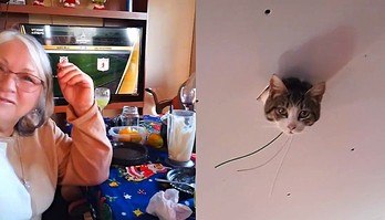 Família é surpreendida com gato ouvindo fofocas do teto de residência (Família é surpreendida com gato 'ouvindo fofocas' do teto de residência)