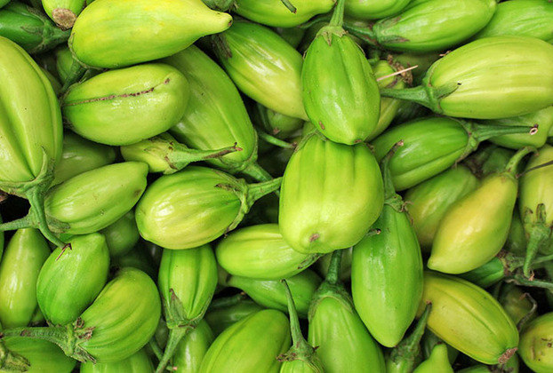 1- Jiló - Esse fruto tem origem na África Ocidental e foi trazido para o Brasil durante o período colonial. 