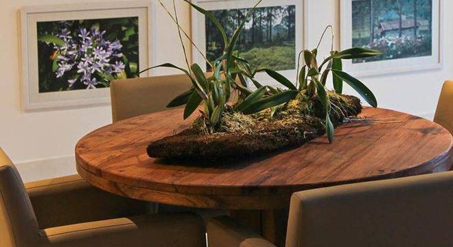 101851- casas de madeira -idalia-daudt-viva-decora