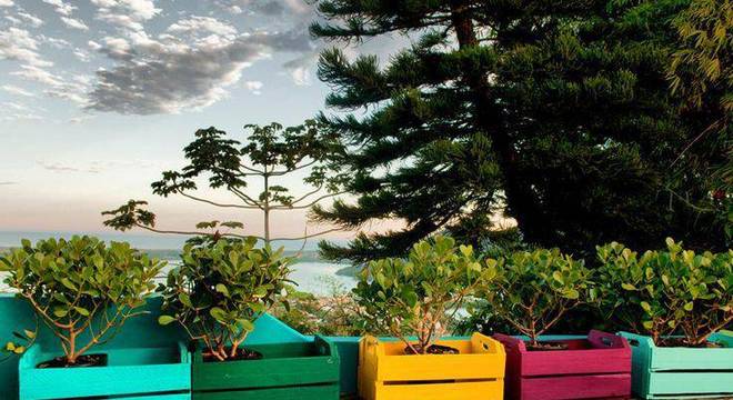 102181-jardim com caixotes coloridos -paola-simoni-viva-decora-102181