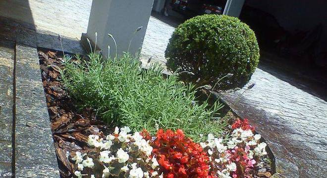 108479-jardim-jardinagem-cadeiras-jardins-viva-decora-108479
