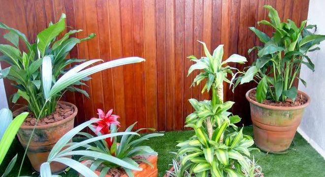 108497-jardim-jardinagem-cadeiras-jardins-viva-decora-108497