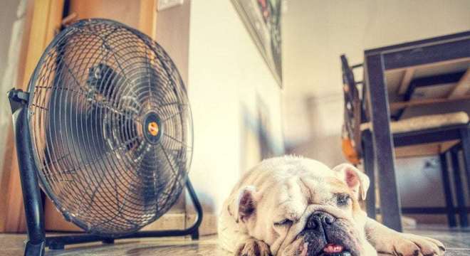 12 maneiras de aliviar o calor sem ar condicionado