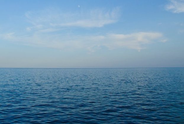 19 de junho: A Organização das Nações Unidas (ONU) aprovou o Tratado do Alto Mar, criando assim uma base legal para ampliar as áreas de proteção ambiental em águas internacionais.
