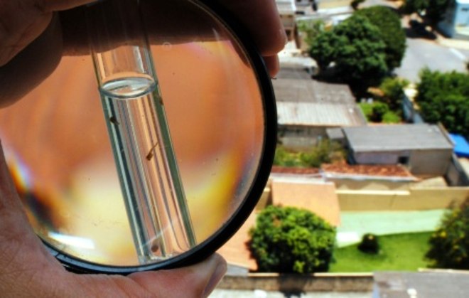 Assim como a dengue e a zika, a chikungunya causa febre alta, dor de cabeÃ§a, dores musculares, conjuntivite, nÃ¡useas, vÃ´mitos e vermelhidÃ£o pelo corpo. O predominante sÃ£o as dores articulares, que afetam simetricamente diversas juntas e sÃ£o debilitantes. O quadro evolui para cura em dez dias. A doenÃ§a, em geral, nÃ£o mata, mas provoca dores articulares crÃ´nicas - para a vida toda