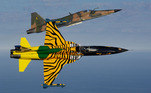 Na imagem, o F-5 aparece com pintura comemorativa alusiva aos 30 anos de operação da aeronave na Força Aérea Brasileira