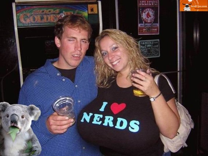 Veja as candidatas ao título de