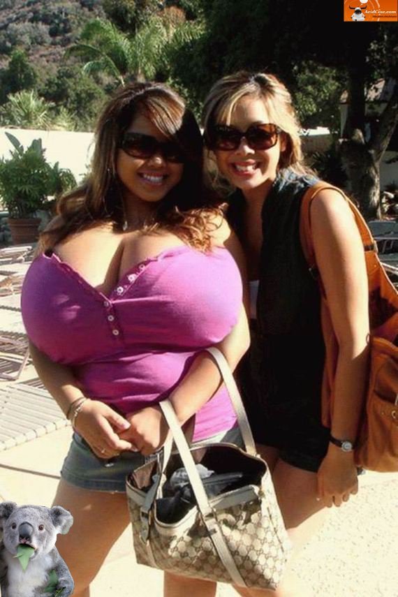 Veja as candidatas ao título de