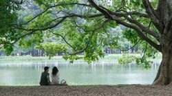 Como estão os parques de São Paulo em época de febre amarela