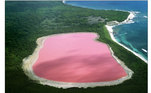 Natureza, lago rosa, impresionante