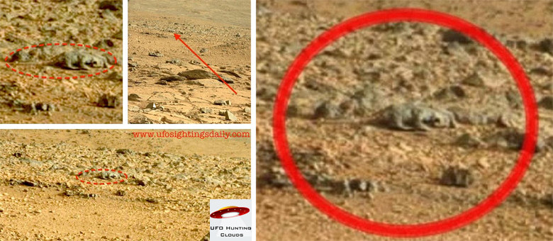 Imagens mostram lagarto na superfície de Marte - Notícias - R7 Hora 7