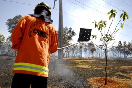 Incêndios florestais são ocorrências comuns no período de secaa