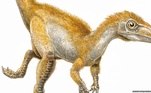 Dinossauro, exposição