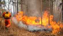 50 incêndios florestais foram registrados no fim de semana no DF