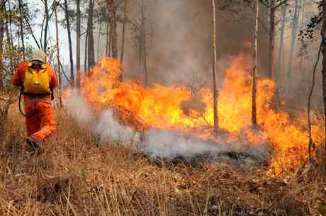 Queda na umidade do ar tem sido um dos motivos que contribuem para os incêndios florestais