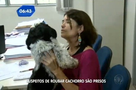 Dona consegue recuperar cachorro horas depois do roubo