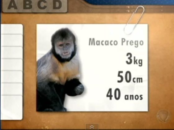 Macaco Prego rejeita salário desigual 