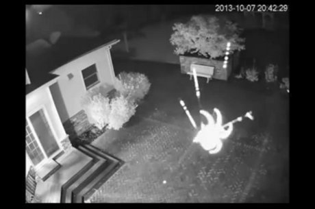 A dona aranha subiu pela parede, mas veio a câmera e a filmou!