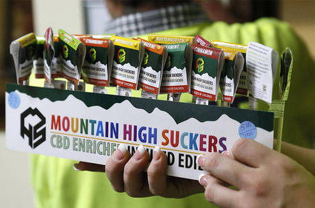 Visão de alguns governantes sobre a maconha vem mudando
Visão de alguns governantes sobre a maconha vem mudando