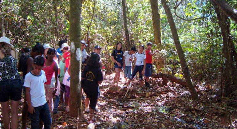 Maioria dos entrevistados tenta se educar ativamente sobre as questões climáticas Maioria dos entrevistados tenta se educar ativamente sobre as questões climáticas