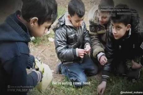 No vídeo, crianças palestinas aparecem se alimentando de grama: "Nós estamos comendo comida de vaca" No vídeo, crianças palestinas aparecem se alimentando de grama: "Nós estamos comendo comida de vaca"