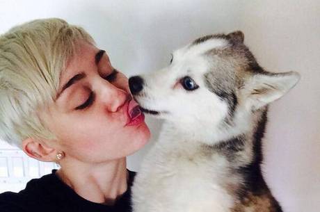 Miley Cyrus se apresentará em Chicago nesta quarta (2) Miley Cyrus se apresentará em Chicago nesta quarta (2)