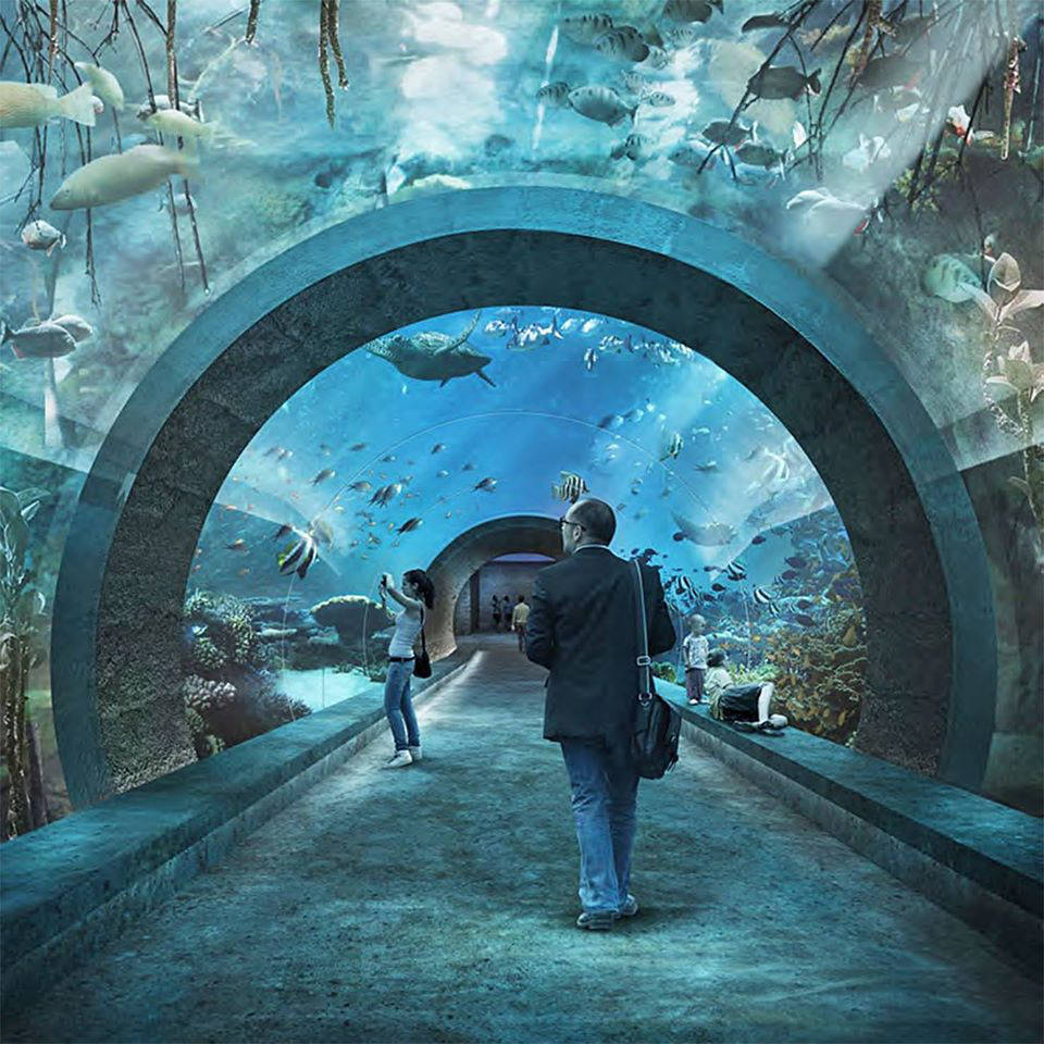 Zoológico de Brasília ganhará aquário com 160 espécies de animais