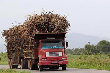 Produção de açúcar teve forte contribuição para a queda em agosto