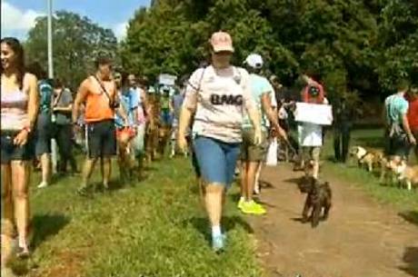 Segundo a administração do Parque, há três anos não há registro de ataques de cães Segundo a administração do Parque, há três anos não há registro de ataques de cães