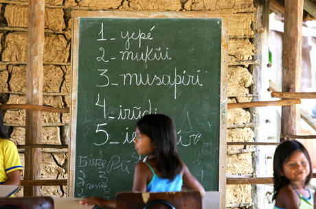 Estima-se que 20% das crianças com deficiência frequentam a escola Estima-se que 20% das crianças com deficiência frequentam a escola